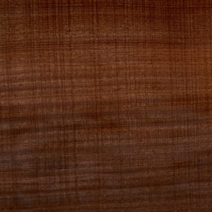 25001 Chapilla N Sapelli Rayado