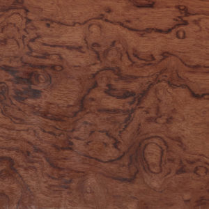 25003 Chapilla N Bubinga