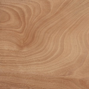 25006 Chapilla N Okume