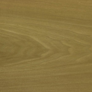 25010 Chapilla N Color Marron