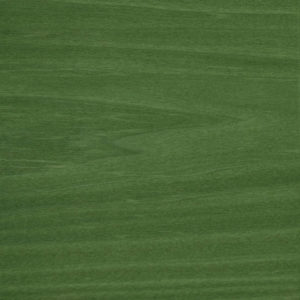 25010 Chapilla N Color Verde