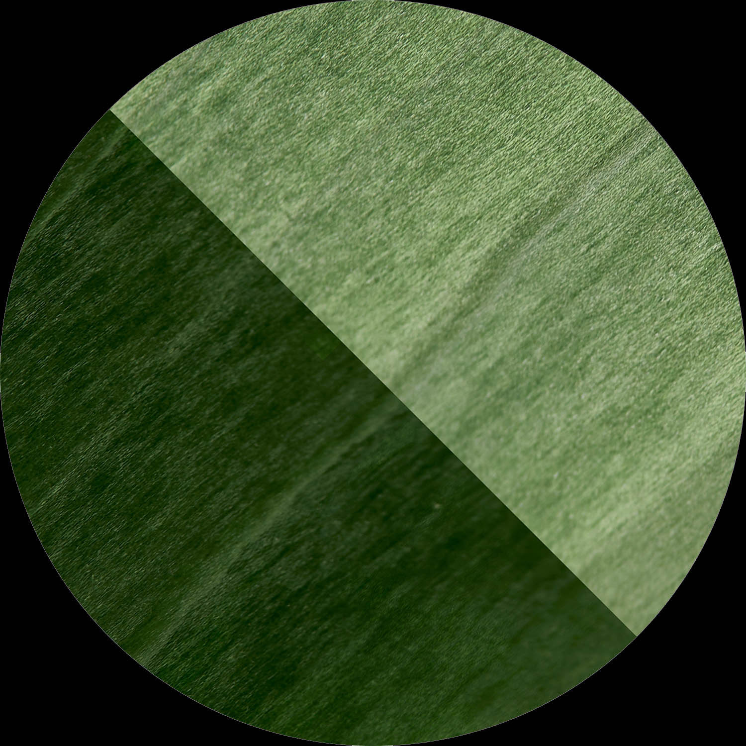 25010 Chapilla N Color Verde – dimitriyepez.com