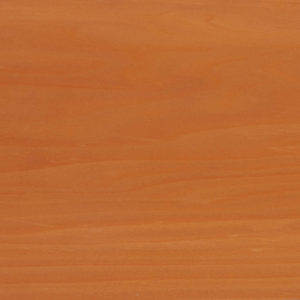 25010 Chapilla N Color Verde