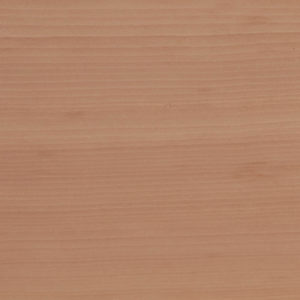 25010 Chapilla Color Rosa