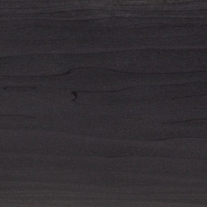 25011 Chapilla Color Negro