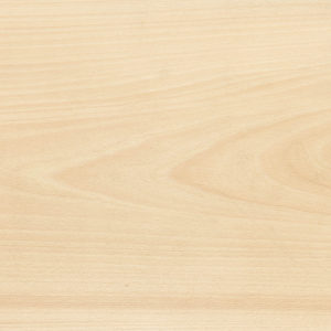 25027 Chapilla N Haya