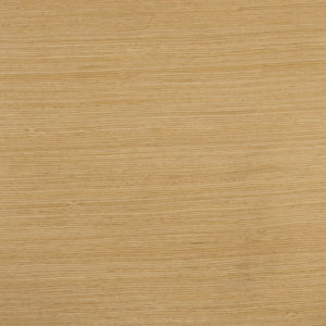 25090 Chapilla P Flormorado Mallado