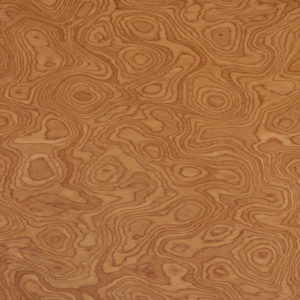 25096 Chapilla P Olmo