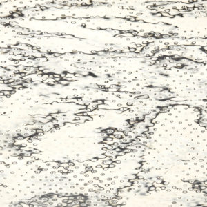 25099 Chapilla P Ojo Pajaro Claro