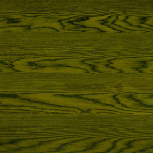 25103 Chapilla P Verde