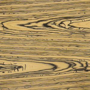 25109 Chapilla P Kappa Dorada