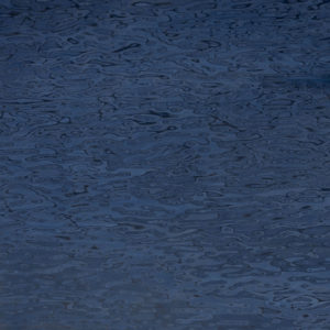 25111 Chapilla P Ojo Pajaro Azul