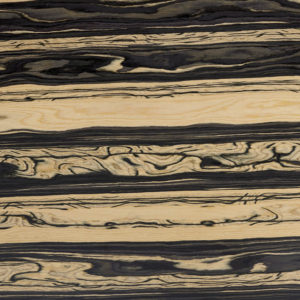 25117 Chapilla P Sigma