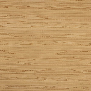 25124 Chapilla P Mompox